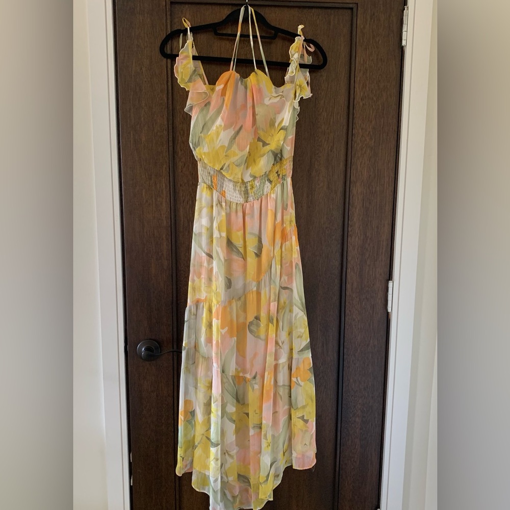 ZARA Floral halter maxi